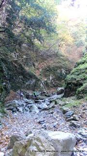 nte Scuderi-23-11-2014 09-47-02